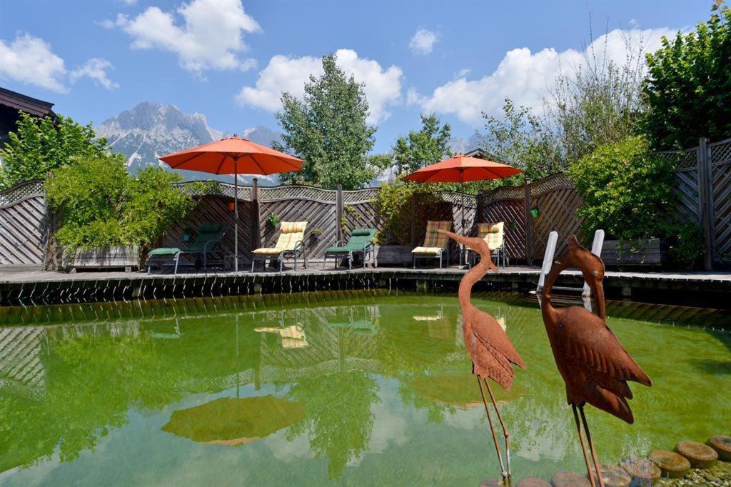 Alpenresidenz Unterrainer Apartment Ellmau Ngoại thất bức ảnh